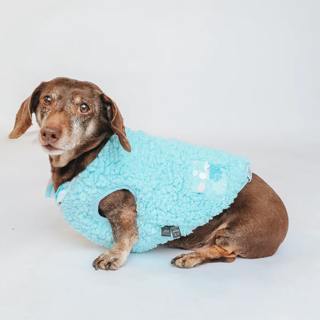 Cinnamoroll x Sassy Woof Reversible Sherpa Dog Jacket (Clouds) - Image 3
