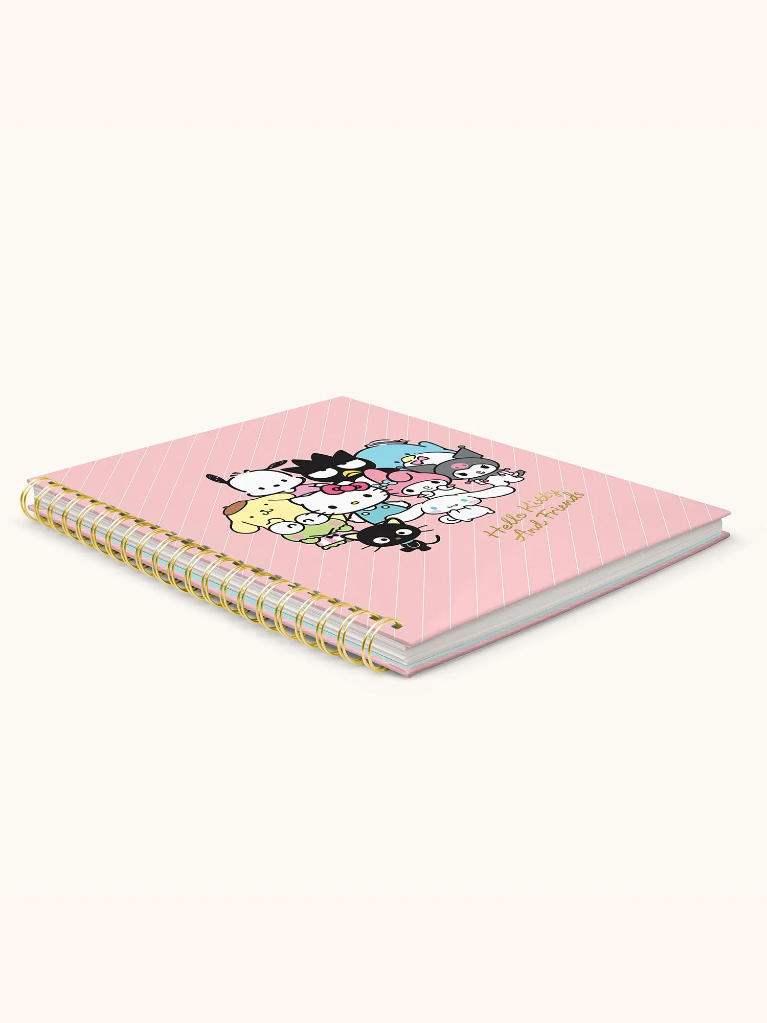 Hello Kitty and Friends x Studio Oh! Pink Pinstripe Extra-Large Spiral Notebook - Image 5