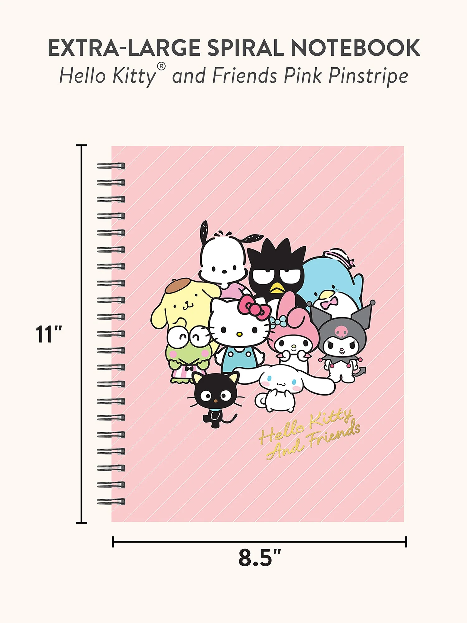 Hello Kitty and Friends x Studio Oh! Pink Pinstripe Extra-Large Spiral Notebook - Image 7